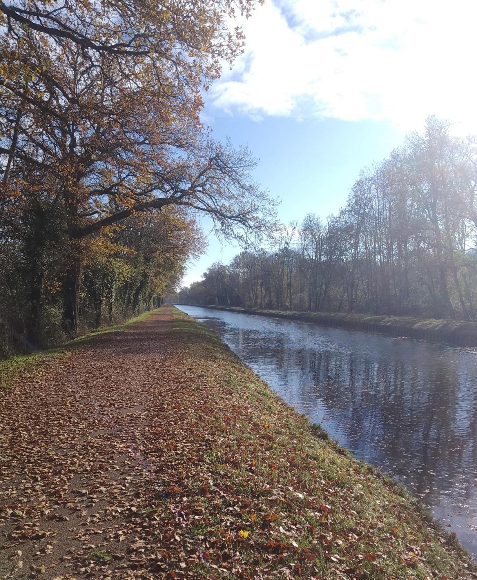 La Halte Du Canal Luthenay-Uxeloup Екстериор снимка